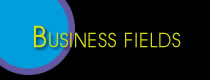 BUSINESS FIELDS